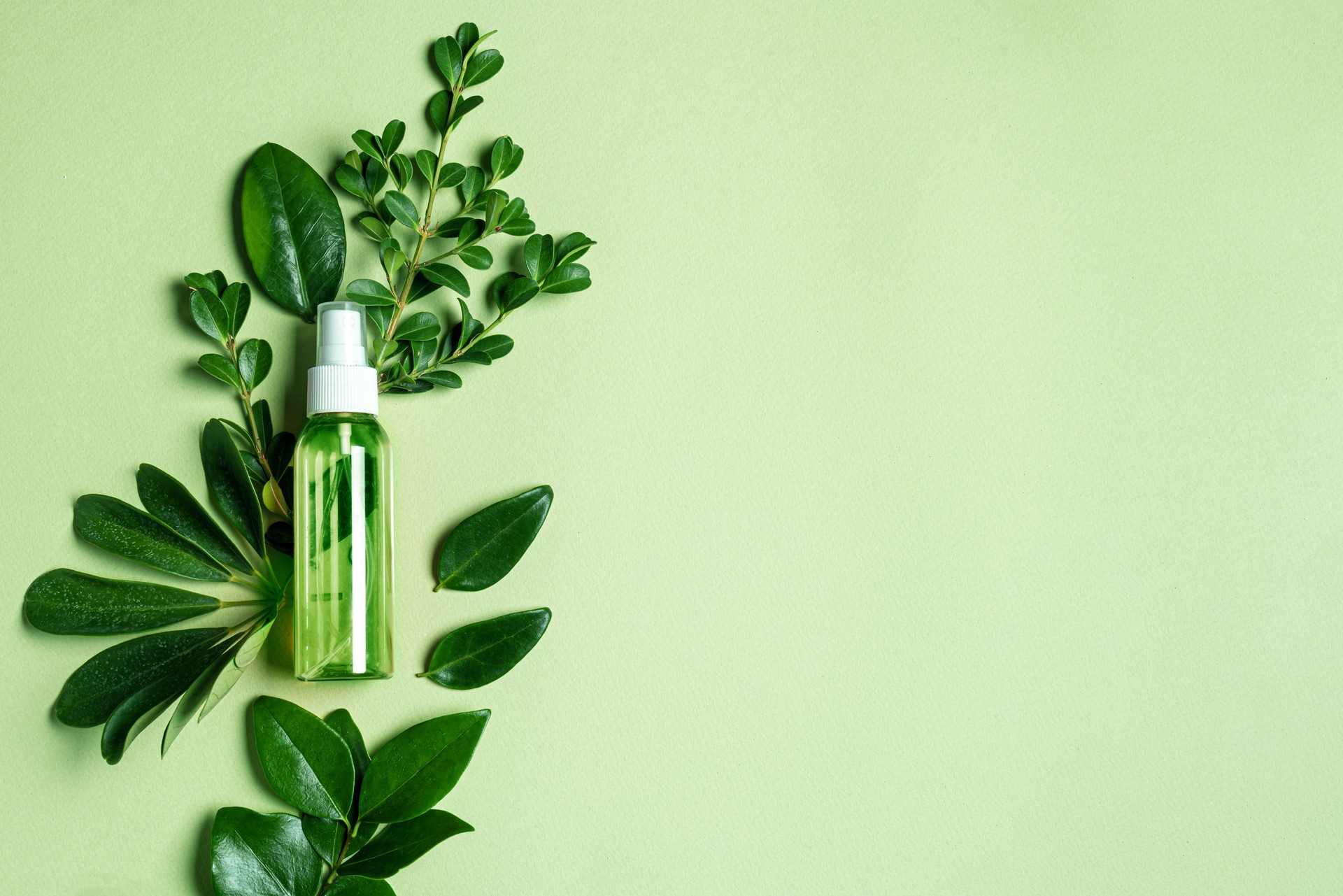 Bottle of cosmetic product over green leaves